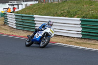 Vintage-motorcycle-club;eventdigitalimages;mallory-park;mallory-park-trackday-photographs;no-limits-trackdays;peter-wileman-photography;trackday-digital-images;trackday-photos;vmcc-festival-1000-bikes-photographs