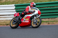 Vintage-motorcycle-club;eventdigitalimages;mallory-park;mallory-park-trackday-photographs;no-limits-trackdays;peter-wileman-photography;trackday-digital-images;trackday-photos;vmcc-festival-1000-bikes-photographs