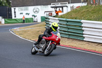 Vintage-motorcycle-club;eventdigitalimages;mallory-park;mallory-park-trackday-photographs;no-limits-trackdays;peter-wileman-photography;trackday-digital-images;trackday-photos;vmcc-festival-1000-bikes-photographs