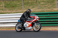 Vintage-motorcycle-club;eventdigitalimages;mallory-park;mallory-park-trackday-photographs;no-limits-trackdays;peter-wileman-photography;trackday-digital-images;trackday-photos;vmcc-festival-1000-bikes-photographs