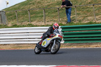 Vintage-motorcycle-club;eventdigitalimages;mallory-park;mallory-park-trackday-photographs;no-limits-trackdays;peter-wileman-photography;trackday-digital-images;trackday-photos;vmcc-festival-1000-bikes-photographs