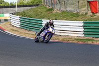 Vintage-motorcycle-club;eventdigitalimages;mallory-park;mallory-park-trackday-photographs;no-limits-trackdays;peter-wileman-photography;trackday-digital-images;trackday-photos;vmcc-festival-1000-bikes-photographs