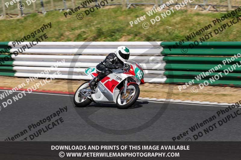Vintage motorcycle club;eventdigitalimages;mallory park;mallory park trackday photographs;no limits trackdays;peter wileman photography;trackday digital images;trackday photos;vmcc festival 1000 bikes photographs