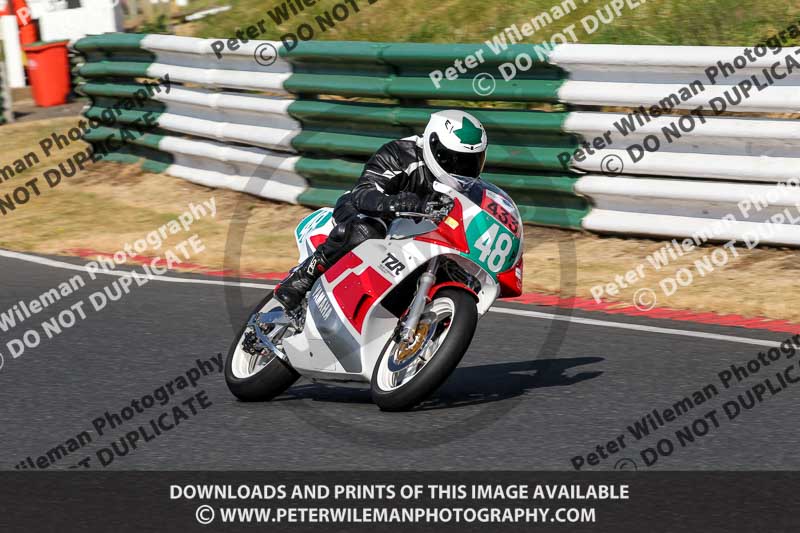 Vintage motorcycle club;eventdigitalimages;mallory park;mallory park trackday photographs;no limits trackdays;peter wileman photography;trackday digital images;trackday photos;vmcc festival 1000 bikes photographs