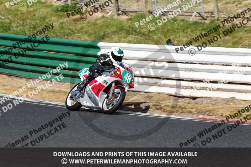 Vintage motorcycle club;eventdigitalimages;mallory park;mallory park trackday photographs;no limits trackdays;peter wileman photography;trackday digital images;trackday photos;vmcc festival 1000 bikes photographs