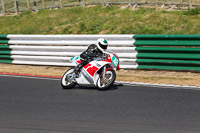Vintage-motorcycle-club;eventdigitalimages;mallory-park;mallory-park-trackday-photographs;no-limits-trackdays;peter-wileman-photography;trackday-digital-images;trackday-photos;vmcc-festival-1000-bikes-photographs
