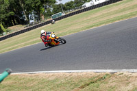 Vintage-motorcycle-club;eventdigitalimages;mallory-park;mallory-park-trackday-photographs;no-limits-trackdays;peter-wileman-photography;trackday-digital-images;trackday-photos;vmcc-festival-1000-bikes-photographs