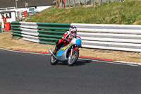 Vintage-motorcycle-club;eventdigitalimages;mallory-park;mallory-park-trackday-photographs;no-limits-trackdays;peter-wileman-photography;trackday-digital-images;trackday-photos;vmcc-festival-1000-bikes-photographs