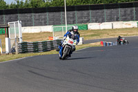 Vintage-motorcycle-club;eventdigitalimages;mallory-park;mallory-park-trackday-photographs;no-limits-trackdays;peter-wileman-photography;trackday-digital-images;trackday-photos;vmcc-festival-1000-bikes-photographs