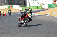 Vintage-motorcycle-club;eventdigitalimages;mallory-park;mallory-park-trackday-photographs;no-limits-trackdays;peter-wileman-photography;trackday-digital-images;trackday-photos;vmcc-festival-1000-bikes-photographs