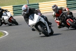 FAST WHITE/SILVER BIKES