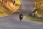 FAST BLUE/BLACK  BIKES