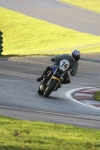 NOVICE BLUE /BLACK BIKES