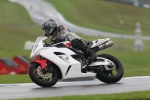 FAST WHITE/SILVER BIKES