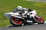 FAST WHITE/SILVER BIKES