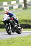 FAST BLUE /  BLACK BIKES