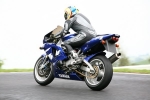 FAST BLUE /  BLACK BIKES