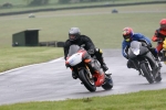 FAST MULTI COLOUR BIKES