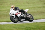 FAST WHITE / SILVER BIKES