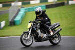 INTER BLUE /  BLACK BIKES