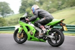 INTER GREEN / YELLOW BIKES