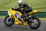INTER GREEN / YELLOW BIKES