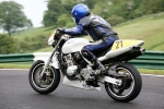 INTER WHITE / SILVER BIKES