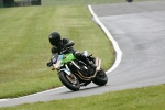 NOVICE GREEN / YELLOW BIKES