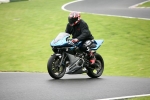 NOVICE MULTI COLOUR BIKES