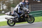 FAST BLUE/BLACK  BIKES