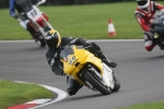 FAST GREEN/YELLOW  BIKES