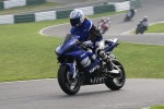 NOVICE BLUE /BLACK BIKES