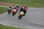 INTER GREEN/YELLOW BIKES
