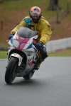 NOVICE MULTICOLOUR  BIKES