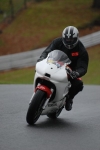 NOVICE WHITE/SILVER BIKES 