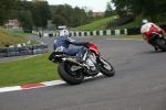 011007cadwell