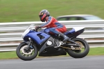 FAST BLUE/BLACK  BIKES