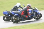 NOVICE BLUE /BLACK BIKES