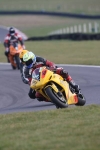 INTER GREEN/YELLOW BIKES