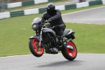 210408cadwell