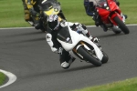 FAST BLUE / WHITE BIKES