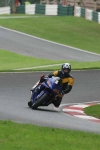 FAST BLUE / WHITE BIKES