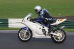FAST BLUE / WHITE BIKES EVENING