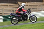 INTER BLUE/ WHITE BIKES