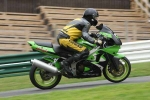 INTER GREEN / YELLOW BIKES