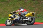 INTER GREEN / YELLOW BIKES