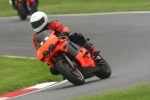 INTER MULTI COLOUR BIKES