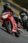INTER RED / ORANGE BIKES