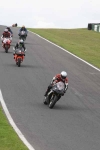 FAST BLACK / SILVER BIKES