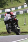 110808cadwell